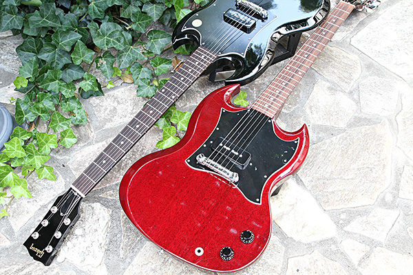 sg-junior-large-pickguard-00