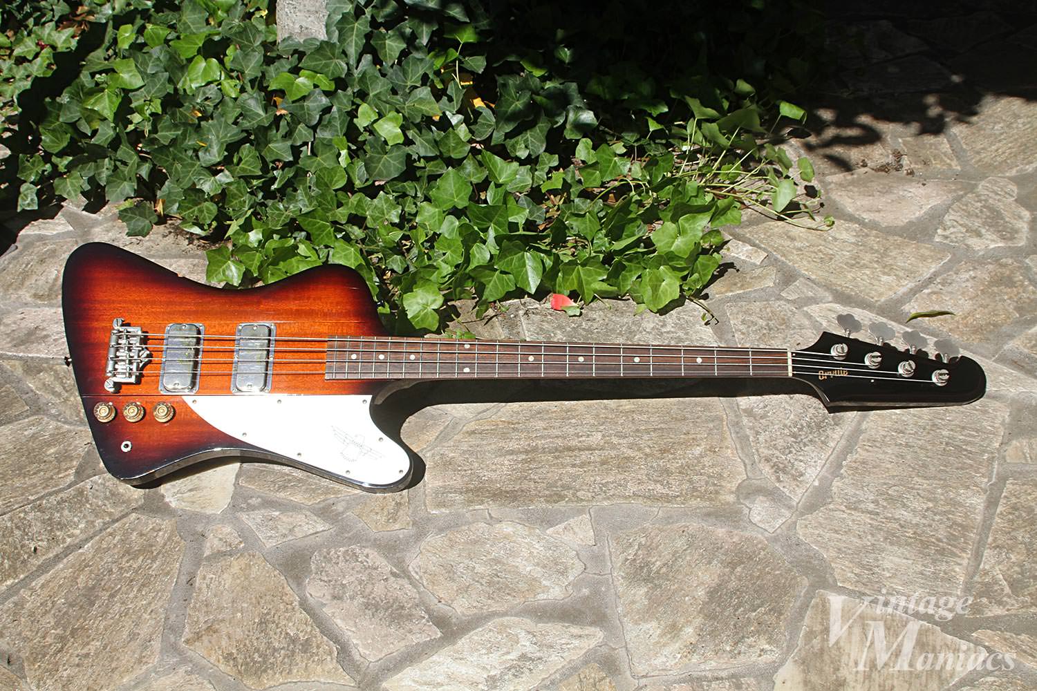 Orville by Gibson Thunderbird ピックアップ-