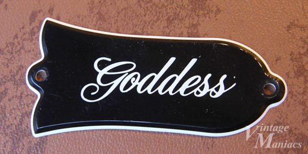 Gibson Goddessのトラスロッドカバー