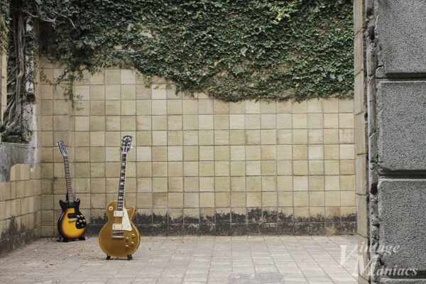 壁越しに写した2本のギター